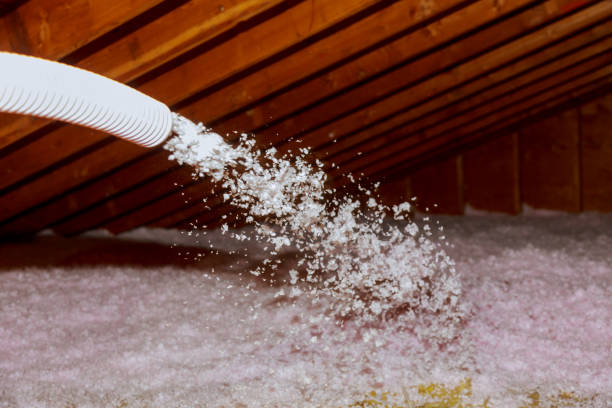 Best Eco-Friendly Insulation in Accokeek, MD