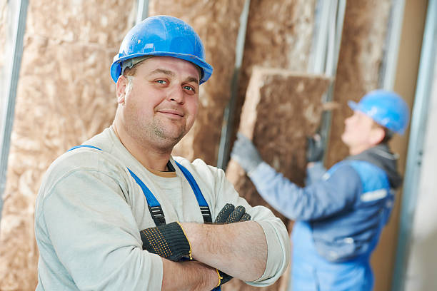 Best Geographic-Specific Insulation Services in Accokeek, MD