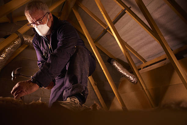 Best Geographic-Specific Insulation Services in Accokeek, MD